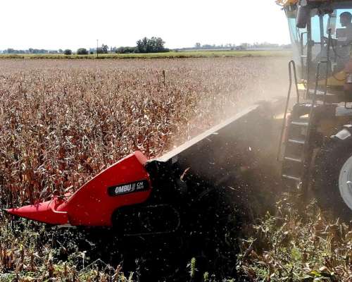 Cabezal Maicero cm 2020 de 18 Surc a 52 con Embocador, con