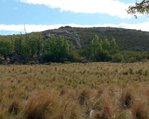 Cerros Largos ( la Carolina ) 154 Has