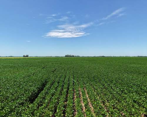 150 Ha Peyrano Santa FE