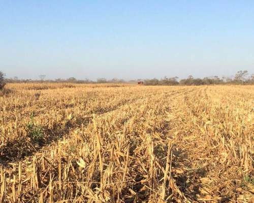 Vendo Campo Agricola Zona Villa Valeria-buena Esperanza