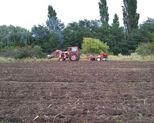 Campo Ganadero Mixto Cordoba