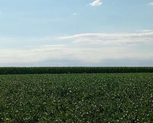 69 Ha en Venta en Monte Cristo