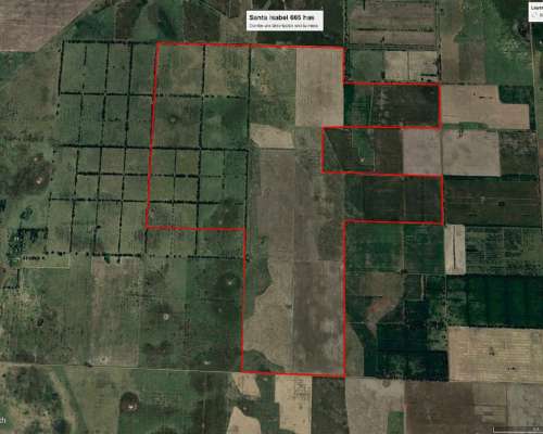 Dispongo de Campo para Capitalizar Vaca o Recría 500