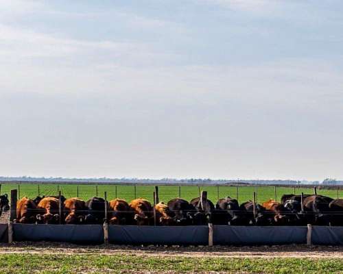 1500 Has Agricolas, Ganadera en Obispo Trejo Cordoba.