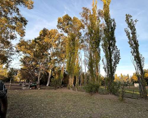 Chacra Trelew Chubut 7.5 Hectáreas
