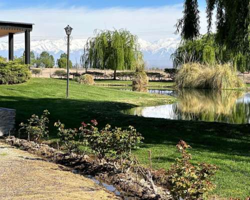 El Carrizal, Lujan de Cuyo, Mendoza - 359 Ha