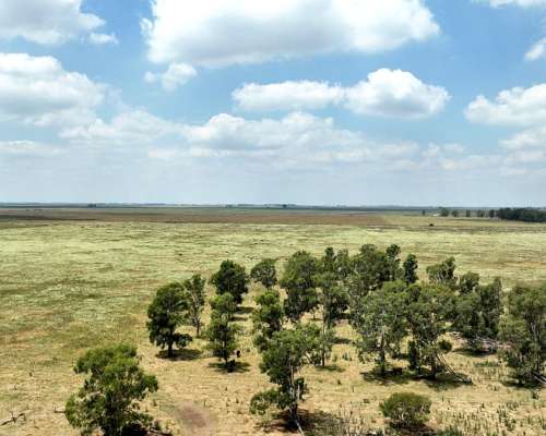 664 Has. Campo Ganadero en Gral. Villegas