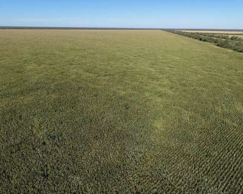 Las Tinajas, Moreno, Santiago del Estero - 2.123 Ha