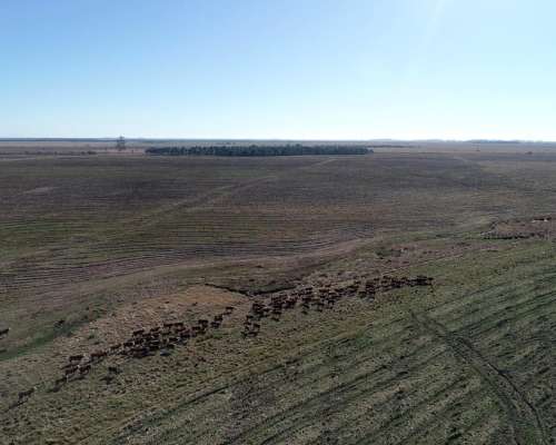 Mercedes, Corrientes - 4.050 Ha