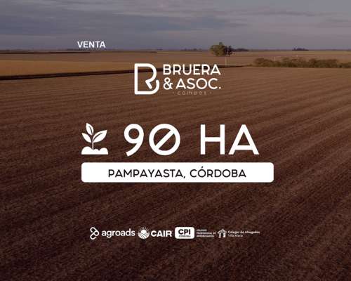 Campo 90 Hectáreas - Pampayasta, Córdoba.