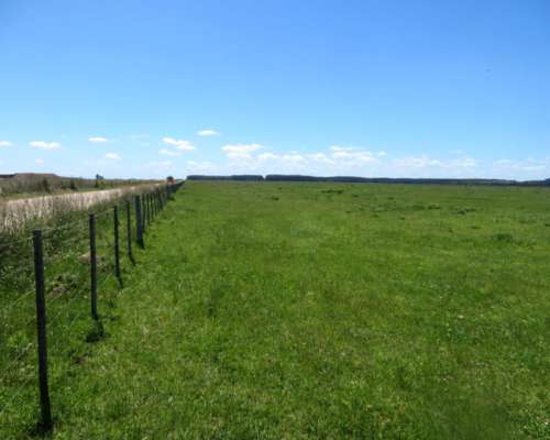 Paraje Oliden - 220 Ha - Buenos Aires