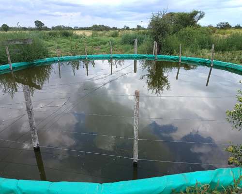 250ha. en las Saladas