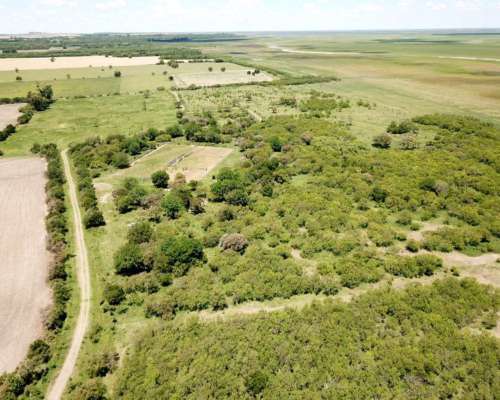 Campo Ganadero 1500 Hectáreas