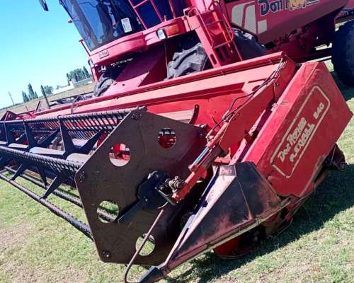 Don Roque 150 M, 28 Pies