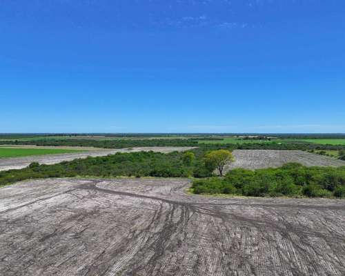 Pcia. de Entre Rios - Estacion Raices 63 Has