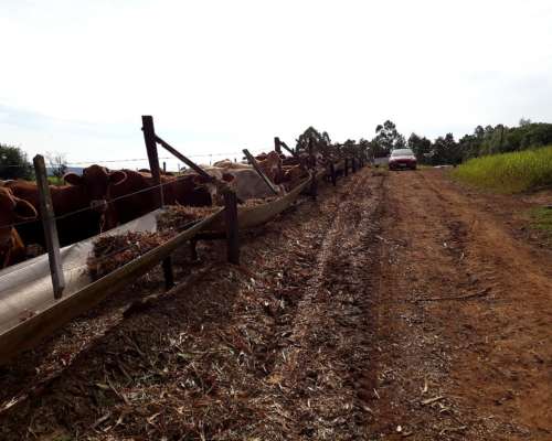 Dueño Vende Campo Misiones