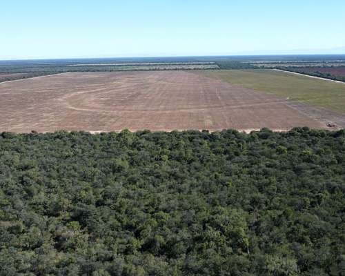 Arriendo 700 Has Agrícolas en Anta