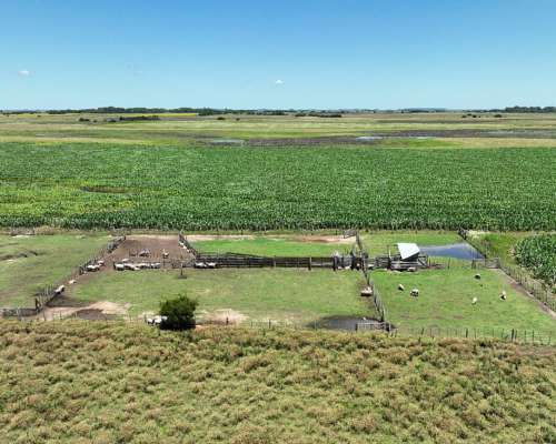 Campo Sobre Ruta en Maipú