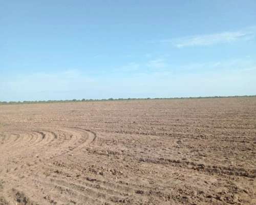 Vendo Campo en Candelaria (san Luis)