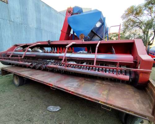 Cosechadora Colombo - 2 Hileras - Cinta de Descarga