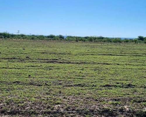 Campo en San Luis 27 Hectáreas - Concarán