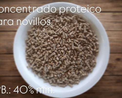 Concentrado Proteico 10% para Engorde Terminacion Novillos