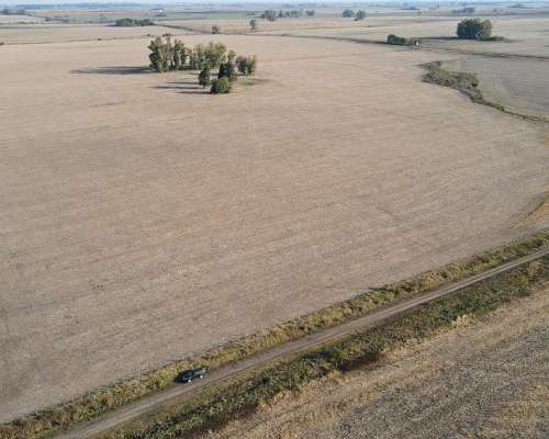 220 Hectáreas Campo Agrícola en Gualeguaychú.