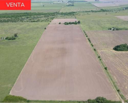 Estancia de 31,5 Hectáreas en San Nicolas