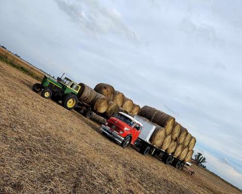 Confección Venta y Translado de Rollos ,distintas Pasturas
