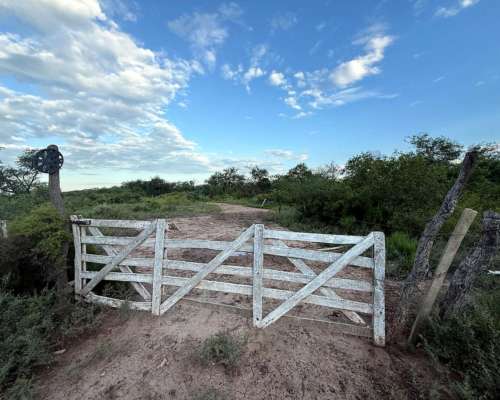Remax Vende Campo Ganadero Sobre Ruta 34 Mailin