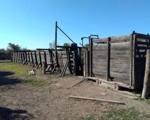 Ingeniero Forres, Robles, Santiago del Estero - 451 Ha