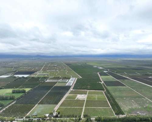 Pcia. de Mendoza - Tunuyan 123 Ha