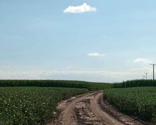 69 Ha en Venta en Monte Cristo