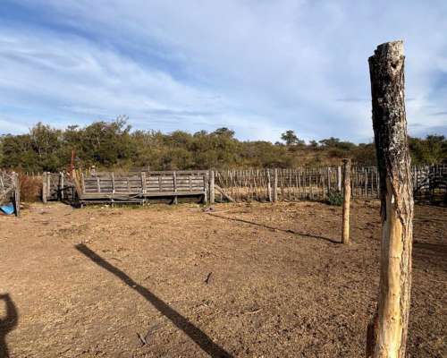 Campo Mixto Zona Berrotaran.-