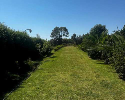 Campo Agrícola con Mejoras 27 Has.