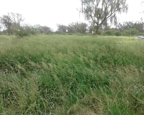 Casnem Inmobiliaria Vende Campo de 9630 HS. con Escritura