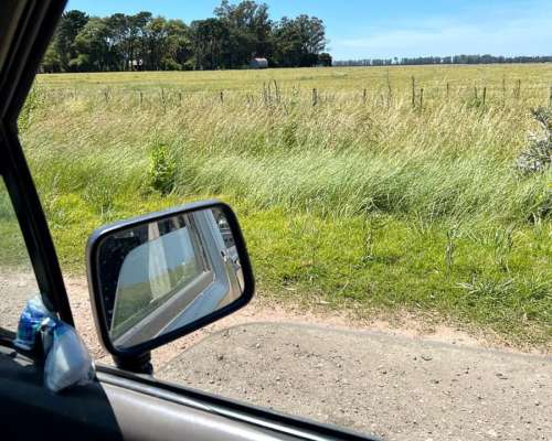 410 Has en Miramar - la Ballenera