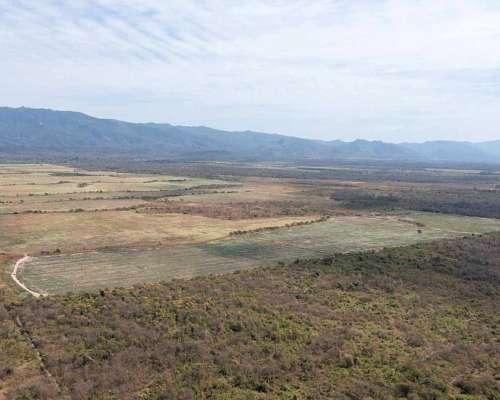 Pcia. de Salta - Tartagal 705 Has