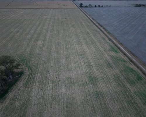 40 HA. Suelo Clase 1 Sobre Ruta. San Genaro (santa FE)