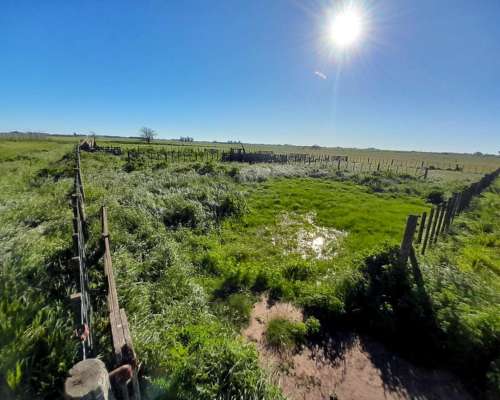 Ofrezco Arrendamiento 155 Has. Ganaderas Pergamino 100 Kg/ha