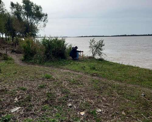 Islas de Ibicuy, Entre Rios - 450 Ha