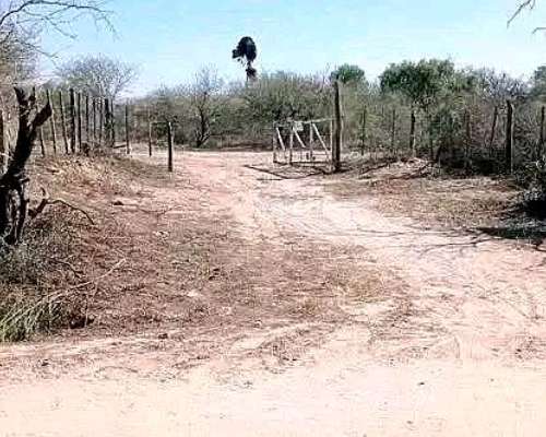 Campo Ganadero Serrezuela CBA