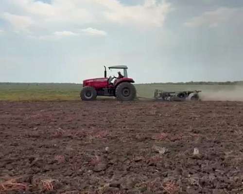 Alquiler de Campo Paraguay Galeliano