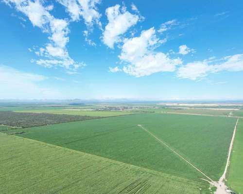 Pcia. de San Luis - Naschel 1306 Ha