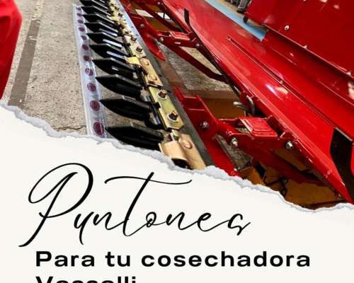 Puntones Barrax F88 Oportunidad Hasta Agotar Stock