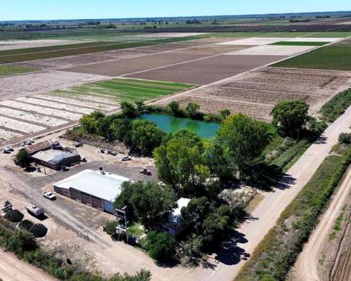 100 Ha los Alamos Beltran 3 Pozos