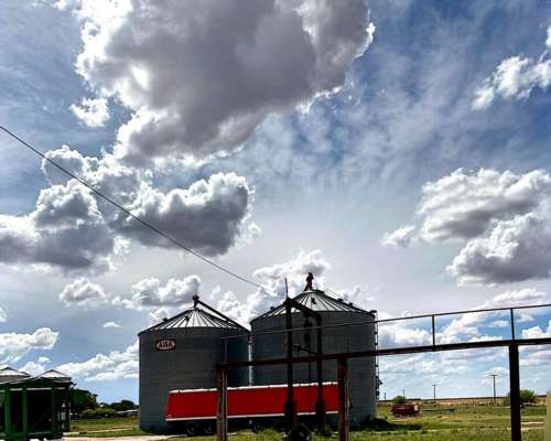 Venta Planta de Silos en Coronel Dorrego