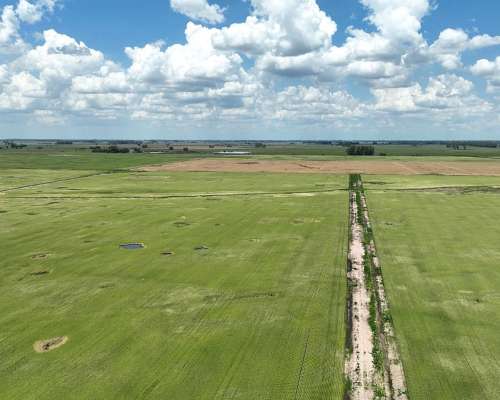 1380 Has. Campo Mixto S/ Ruta 7 en San Andres de Giles