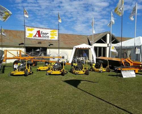 Rastrillo en V de 16 Estrellas Alser Anca