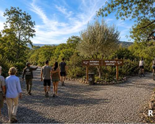 Campo Panorámico de 15 Ha en Coronel Moldes, Salta